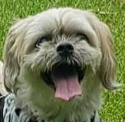 Benny