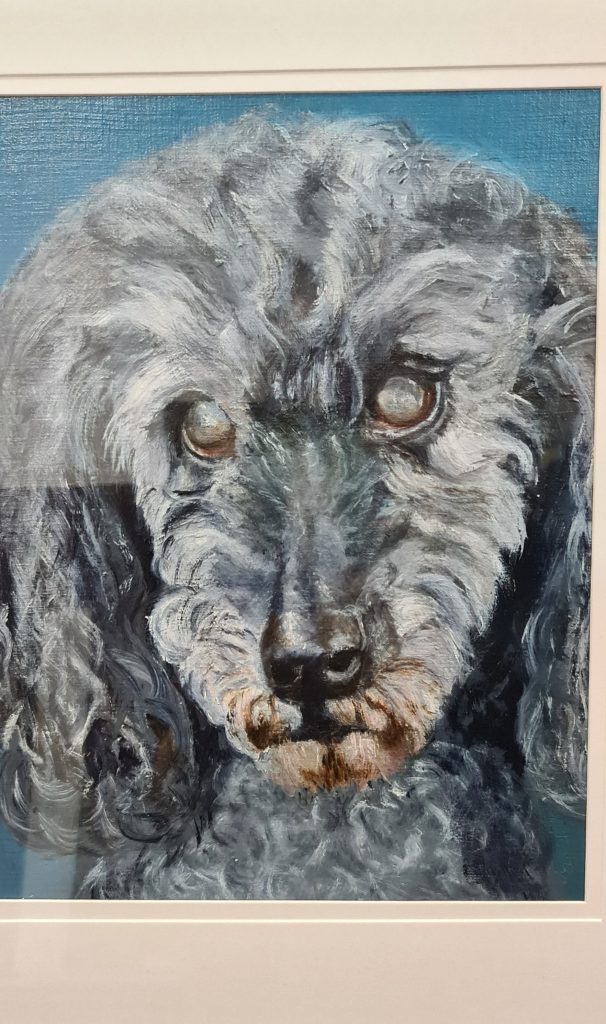 My soul dog Bob